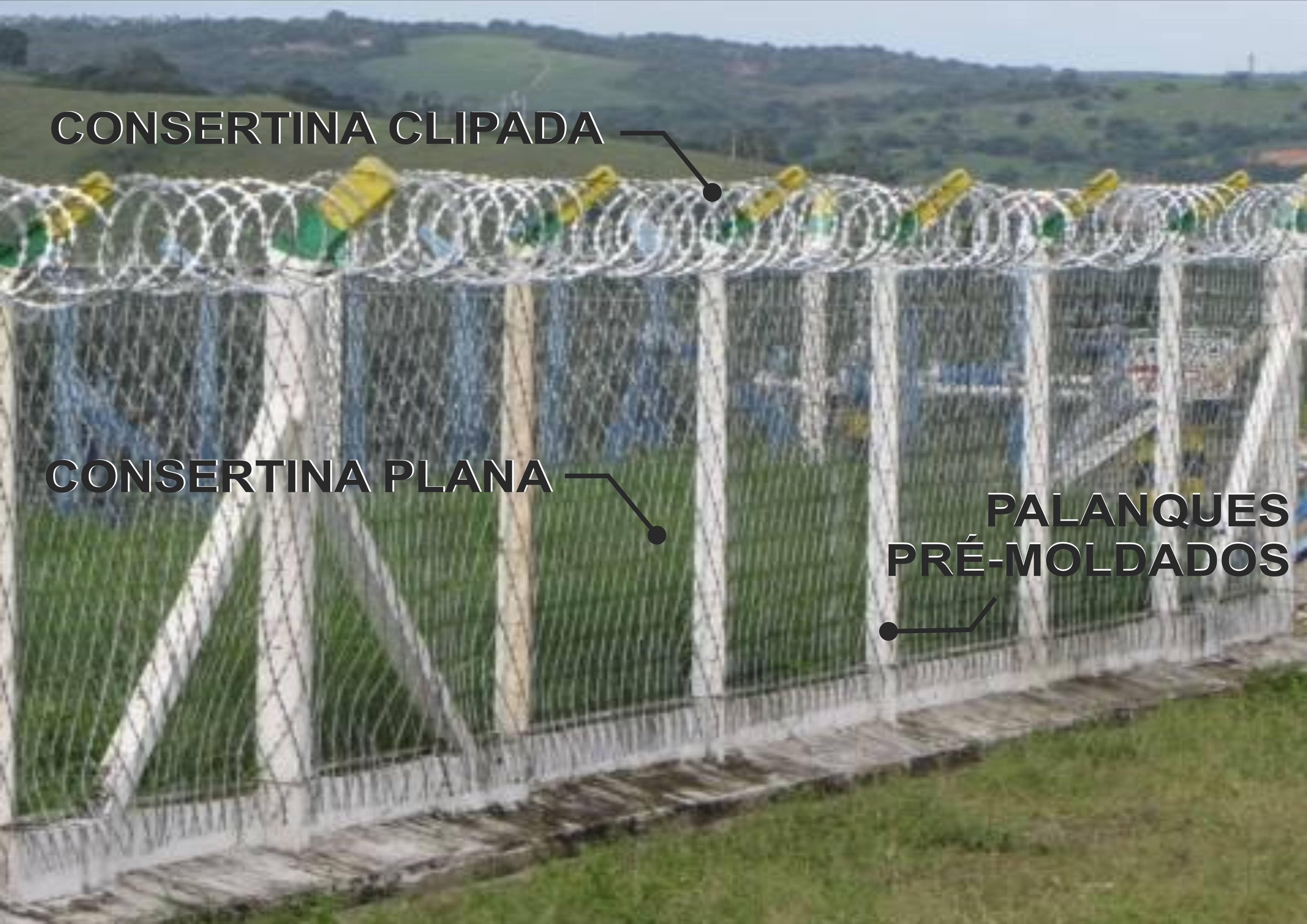 109_1.jpg