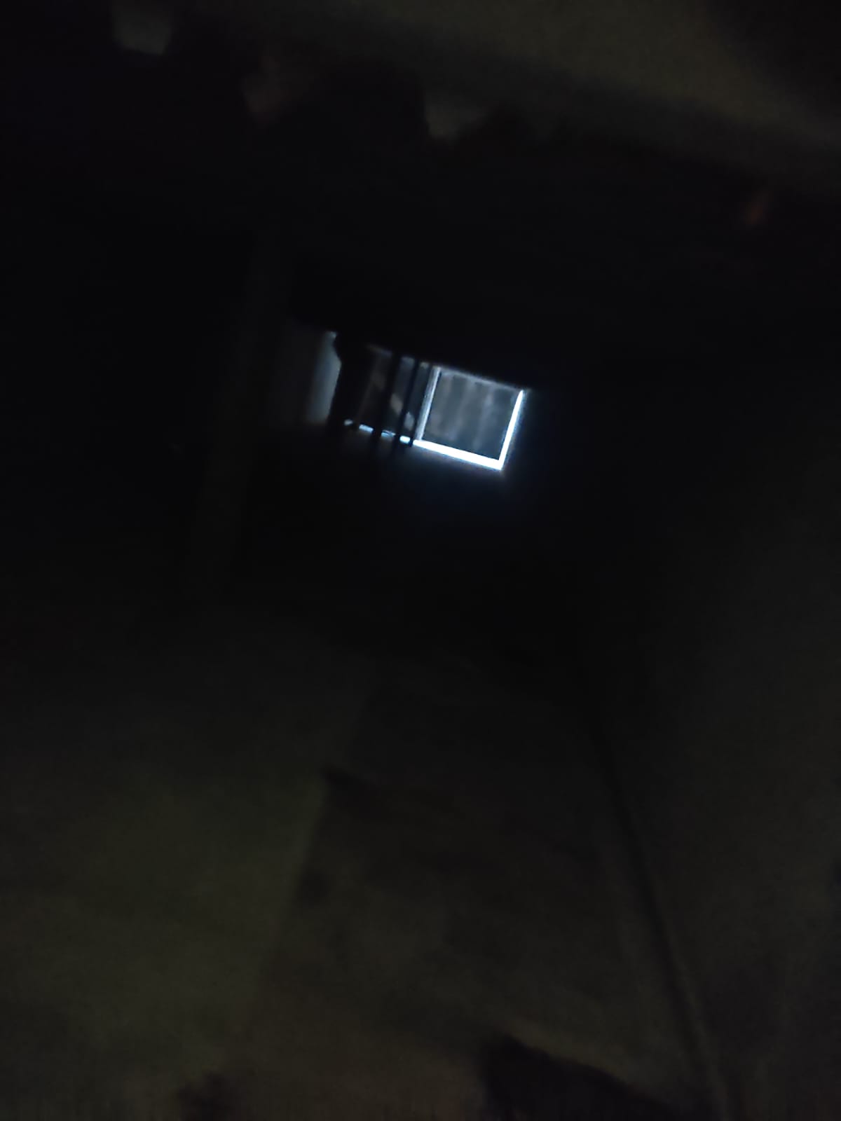 2995_15.jpeg