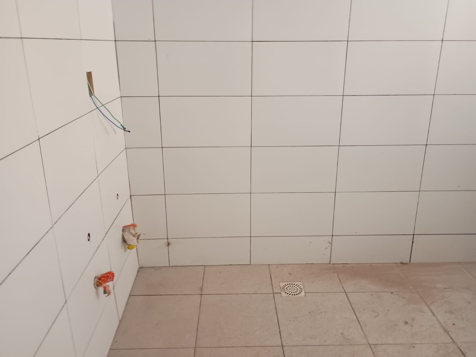 3996_12.jpeg