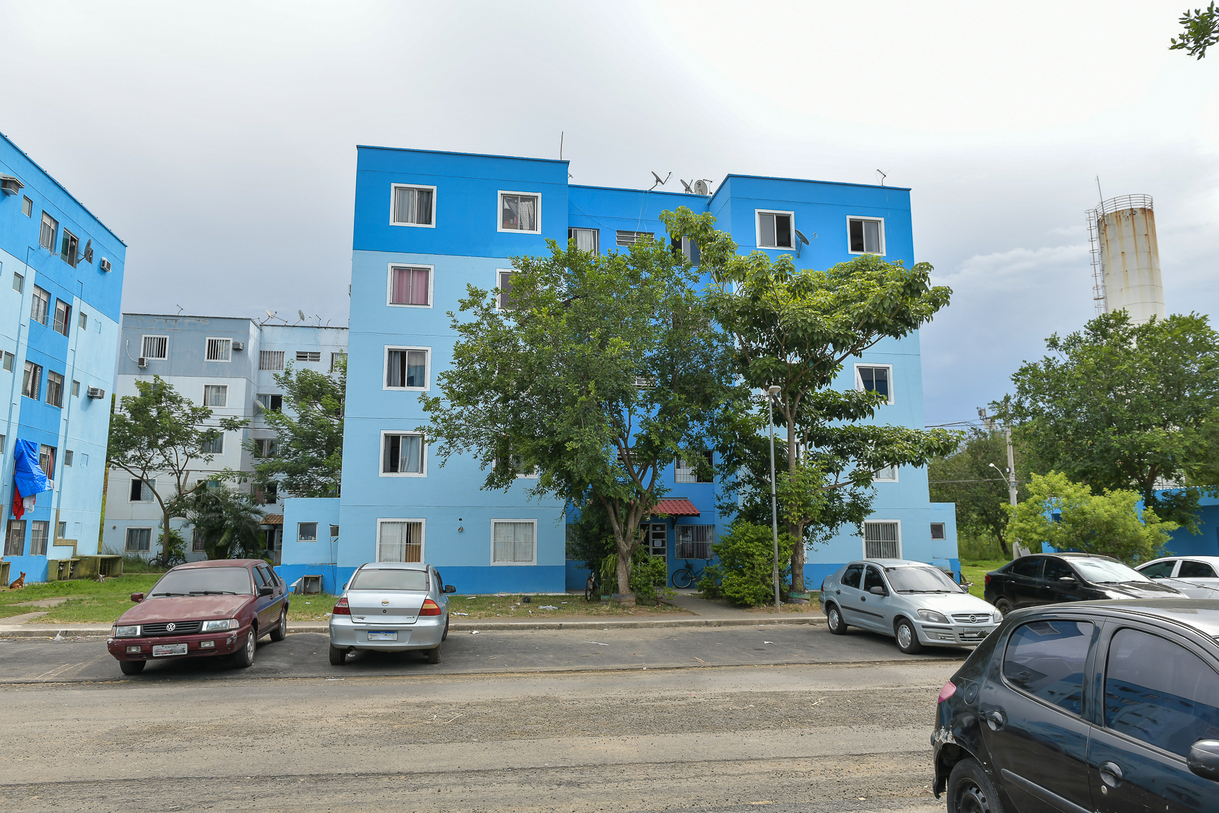 474_13.jpg